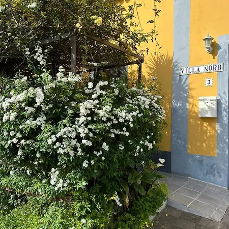 Casa Norb Apartment *